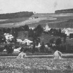 Pohled na obec při žních - 1947