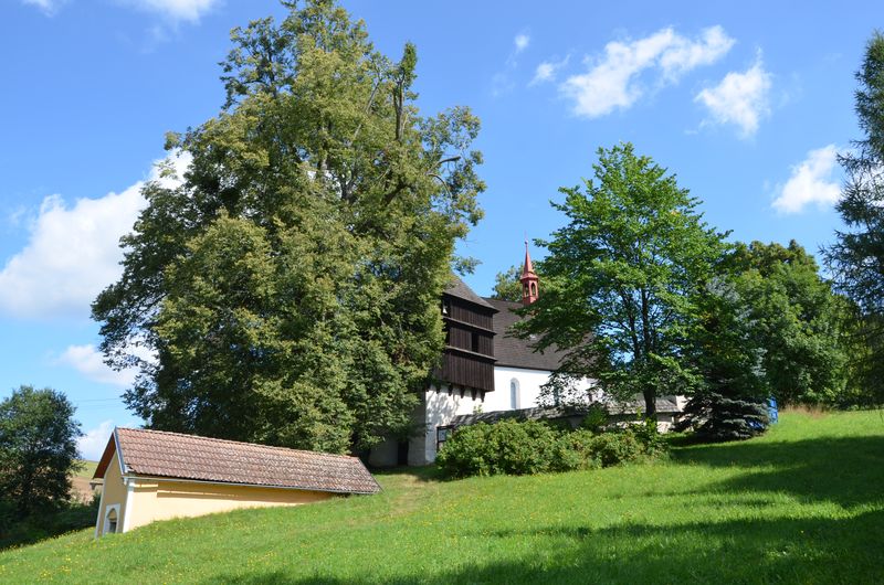 Úvodní fotografie